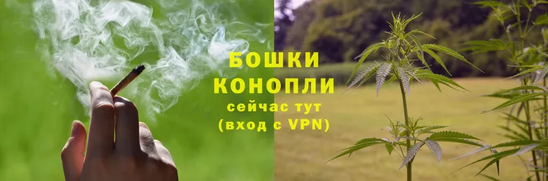 Бошки Шишки THC 21%  купить   Кувандык 